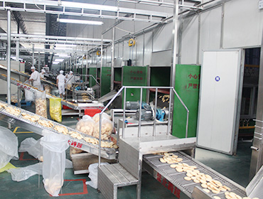 Rice cake production line